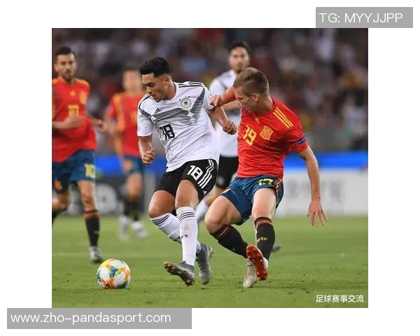 波兰足球国家队的辉煌历程与未来展望分析